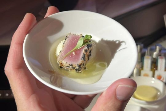 qatar-airways-qsuite-seat