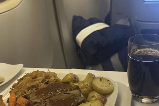 tasty-Lufthansa-meal