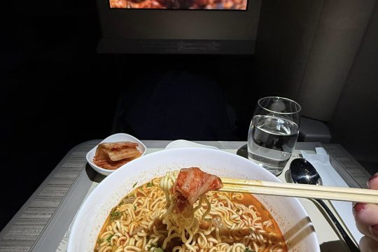Warm-In-Flight-Noodles