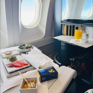 window-view-with-meal-on-air-bus-France