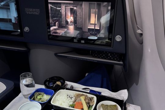 meal-served-on-plane