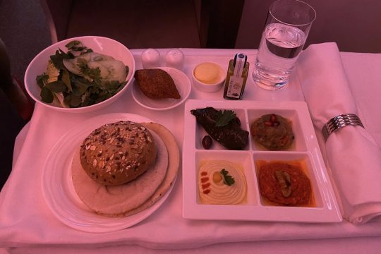 Fresh-inflight-meal