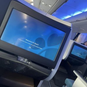 In-Flight-Entertainment