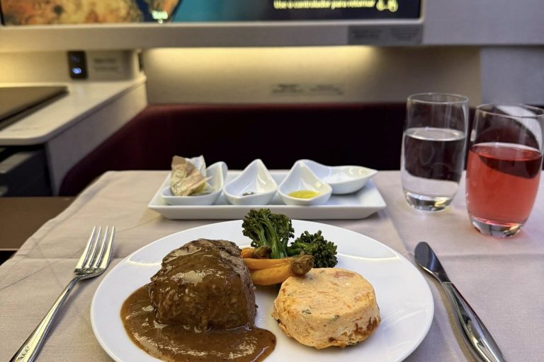 Gourmet in-flight meal