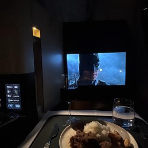 In-Flight-Meal